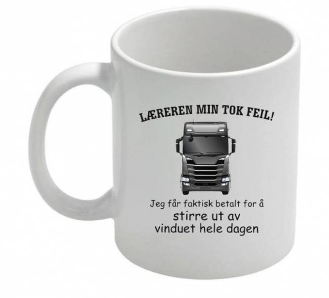 Hovedbilde LÆREREN MIN TOK FEIL - KOPP